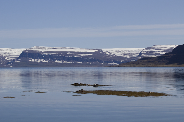 2011-06-30_09-57-40 island.jpg - Seehundkolonie